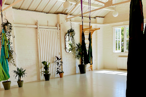 Hackney Aerial Yoga image