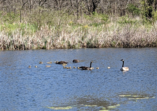 Park «Nyquist-Harcourt Wildlife Sanctuary», reviews and photos, 133 Huguenot St, New Paltz, NY 12561, USA