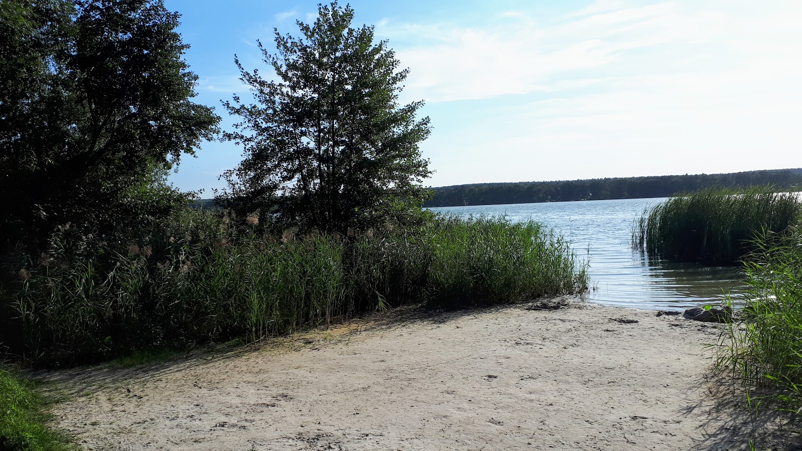 Foto av FKK Strand Motzen med gräs yta