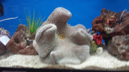 Pet Supply Store «Petco Animal Supplies», reviews and photos, 3380 124th Ave NW, Coon Rapids, MN 55433, USA