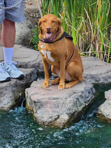 Miniature Golf Course «Settlers Mill Adventure Golf & Frozen Custard», reviews and photos, 7940 US-51, Minocqua, WI 54548, USA