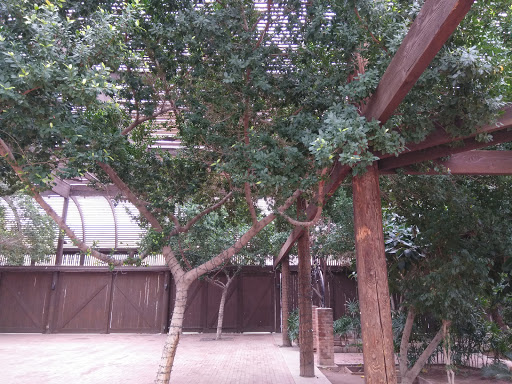 Museum «Rosson House Museum at Heritage Square», reviews and photos, 113 N 6th St, Phoenix, AZ 85004, USA