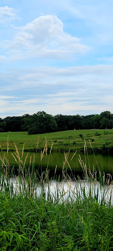 Nature Preserve «Bullfrog Lake», reviews and photos, 9600 Wolf Rd, Willow Springs, IL 60480, USA