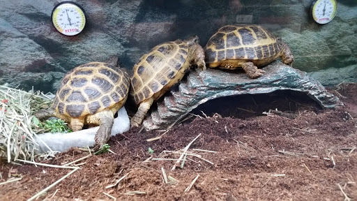 Pet Supply Store «Petco Animal Supplies», reviews and photos, 5631 Grove Blvd, Hoover, AL 35226, USA