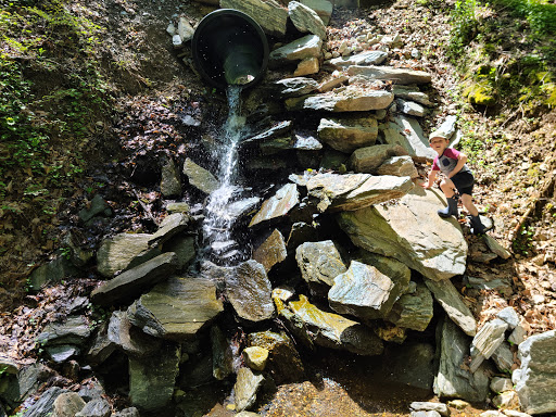 Hiking Area «McKaig Nature Education Center», reviews and photos, 889 Croton Rd, Wayne, PA 19087, USA