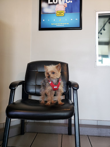 Auto Repair Shop «Precision Tune Auto Care», reviews and photos, 5851 State St, Murray, UT 84107, USA