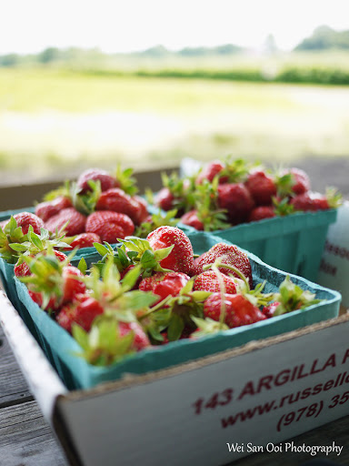 Farm «Russell Orchards», reviews and photos, 143 Argilla Rd, Ipswich, MA 01938, USA