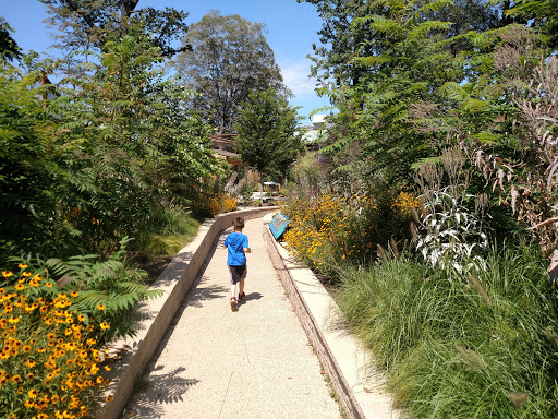 Natural History Museum «Cleveland Museum of Natural History», reviews and photos, 1 Wade Oval Dr, Cleveland, OH 44106, USA