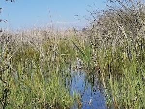 Maxton Brown Park - photo 34