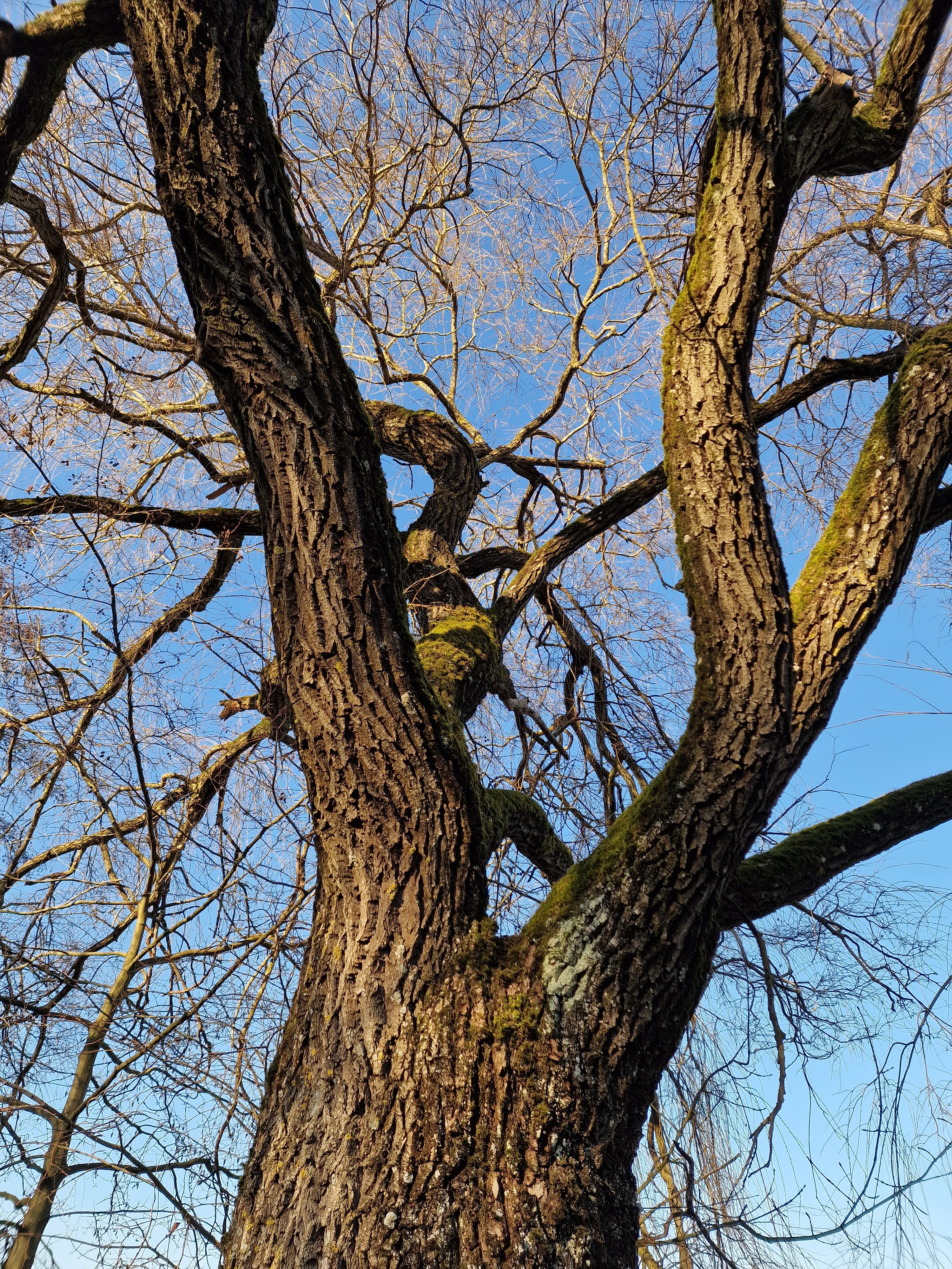 Photo n° 4 de l'avis de Pascal.a fait le 22/02/2023 à 13:47