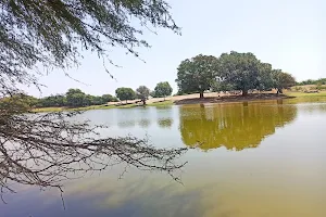 Darbari Lake image