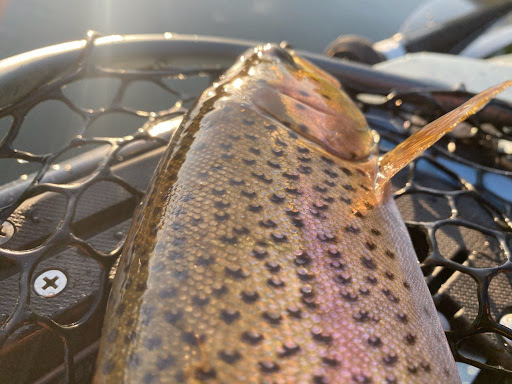 Canoe & Kayak Store «Coontail», reviews and photos, 1400 US-51, Arbor Vitae, WI 54568, USA