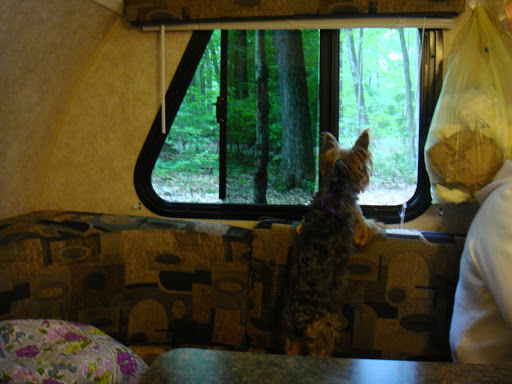 Park «Winding Hills Park», reviews and photos, 2 Old Rte 17K, Montgomery, NY 12549, USA