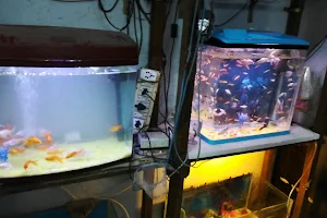 Rainbow Aquarium image