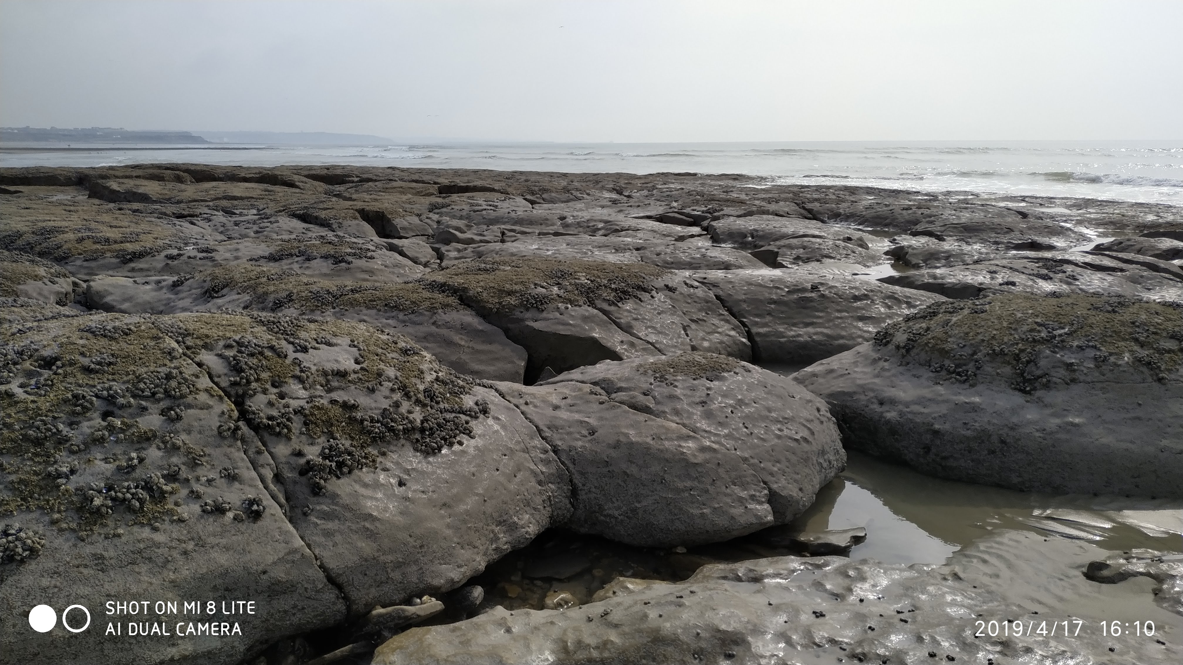 Photo n° 3 de l'avis de LoLo.a fait le 23/04/2019 à 11:48