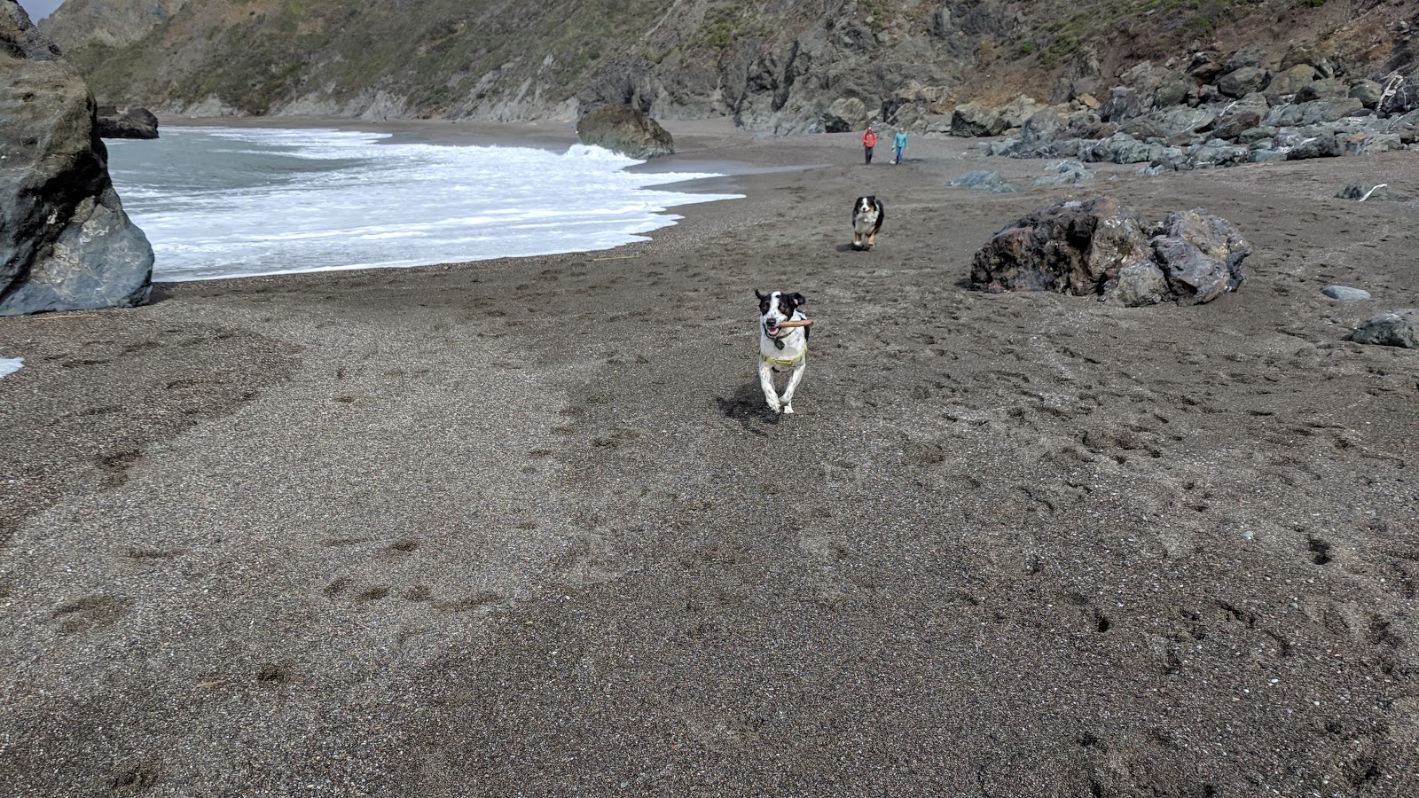 Fotografie cu Blind Beach amplasat într-o zonă naturală