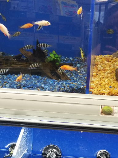 Pet Supply Store «Pet Supermarket», reviews and photos, 2800 Raeford Rd, Fayetteville, NC 28303, USA