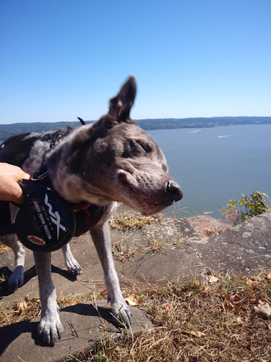 State Park «Hook Mountain State Park», reviews and photos, N Rte 9W, Nyack, NY 10960, USA