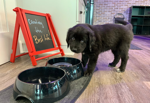 Real Estate Agency «RE/MAX Destiny Real Estate», reviews and photos, 530 S 3rd St #120, Manhattan, KS 66502, USA