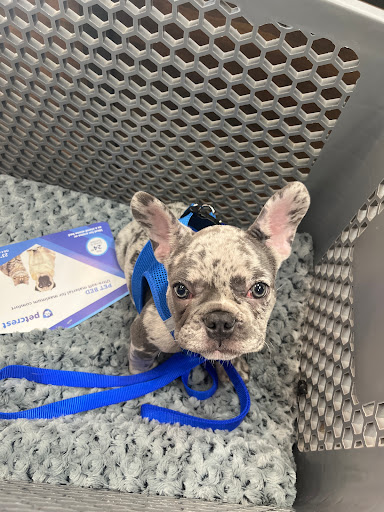 Pet Supply Store «Petland Dallas», reviews and photos, 11909 Preston Rd, Dallas, TX 75230, USA