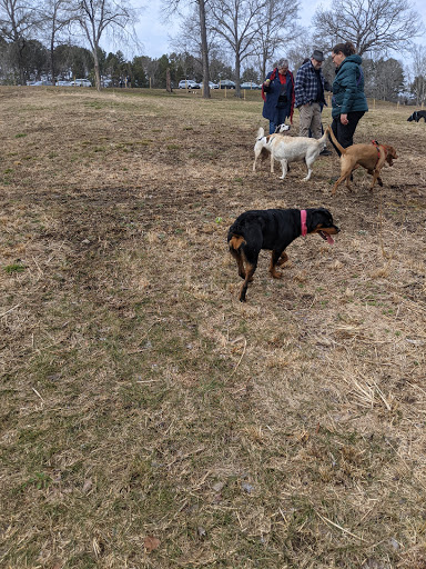 Water Park «Kannapolis Recreation Park», reviews and photos, 2225 Fowler St, Kannapolis, NC 28083, USA