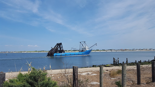 Aquarium «Atlantic City Aquarium», reviews and photos, 800 N New Hampshire Ave, Atlantic City, NJ 08401, USA