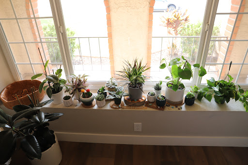 PlanterSam image