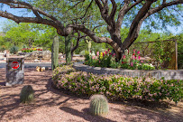 Landtamers Landscaping - Photo 2 - Car repair in Tucson, AZ, Tucson