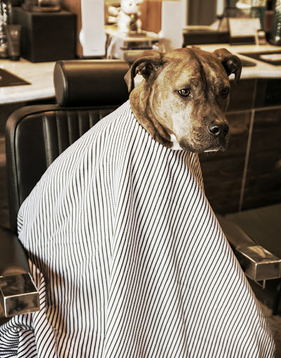 Barber Shop «The Standard Barbershop», reviews and photos, 10409 Main Street b, Fairfax, VA 22030, USA