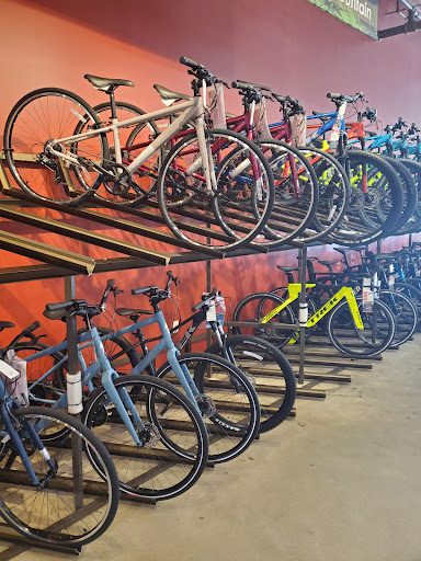 Bicycle Store «Bike Barn - West University», reviews and photos, 5339 Weslayan St, Houston, TX 77005, USA