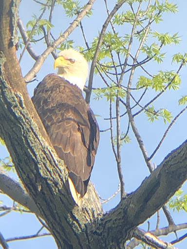 Park «Gratiot Park», reviews and photos, NY-5 & Point Dr W, Dunkirk, NY 14048, USA