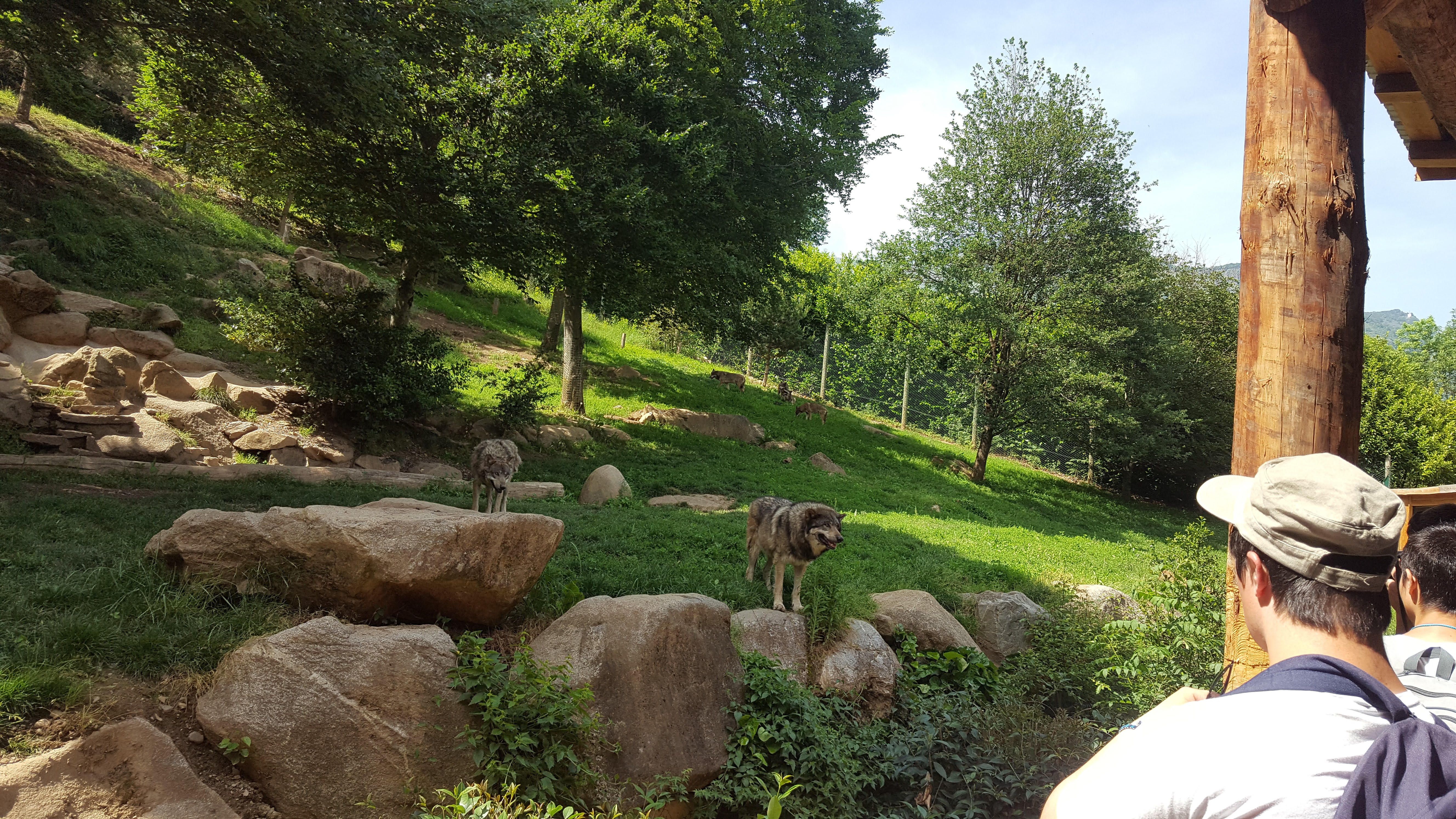 Photo n° 3 de l'avis de Sandra.o fait le 15/06/2017 à 07:55