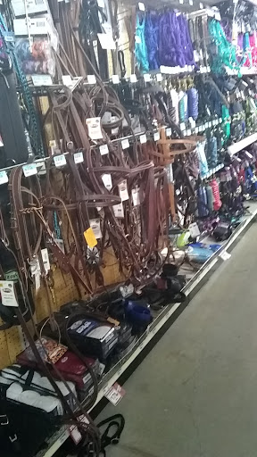 Home Improvement Store «Tractor Supply Co.», reviews and photos, 33701 US-281, Bulverde, TX 78163, USA