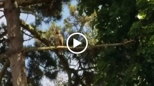 Disc Golf Course «Golden Gate Park Disc Golf Course», reviews and photos, 99 Marx Meadow Dr, San Francisco, CA 94121, USA