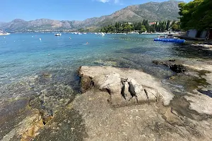 Plaža Cavtat image
