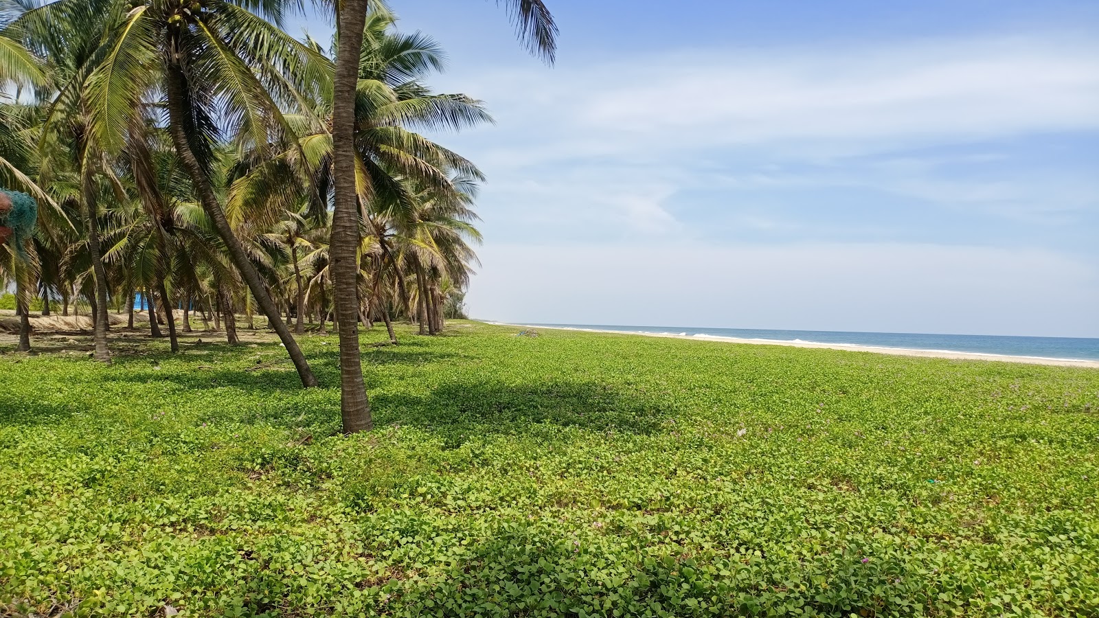 Fotografija Narambai Beach Shore z svetel fin pesek površino