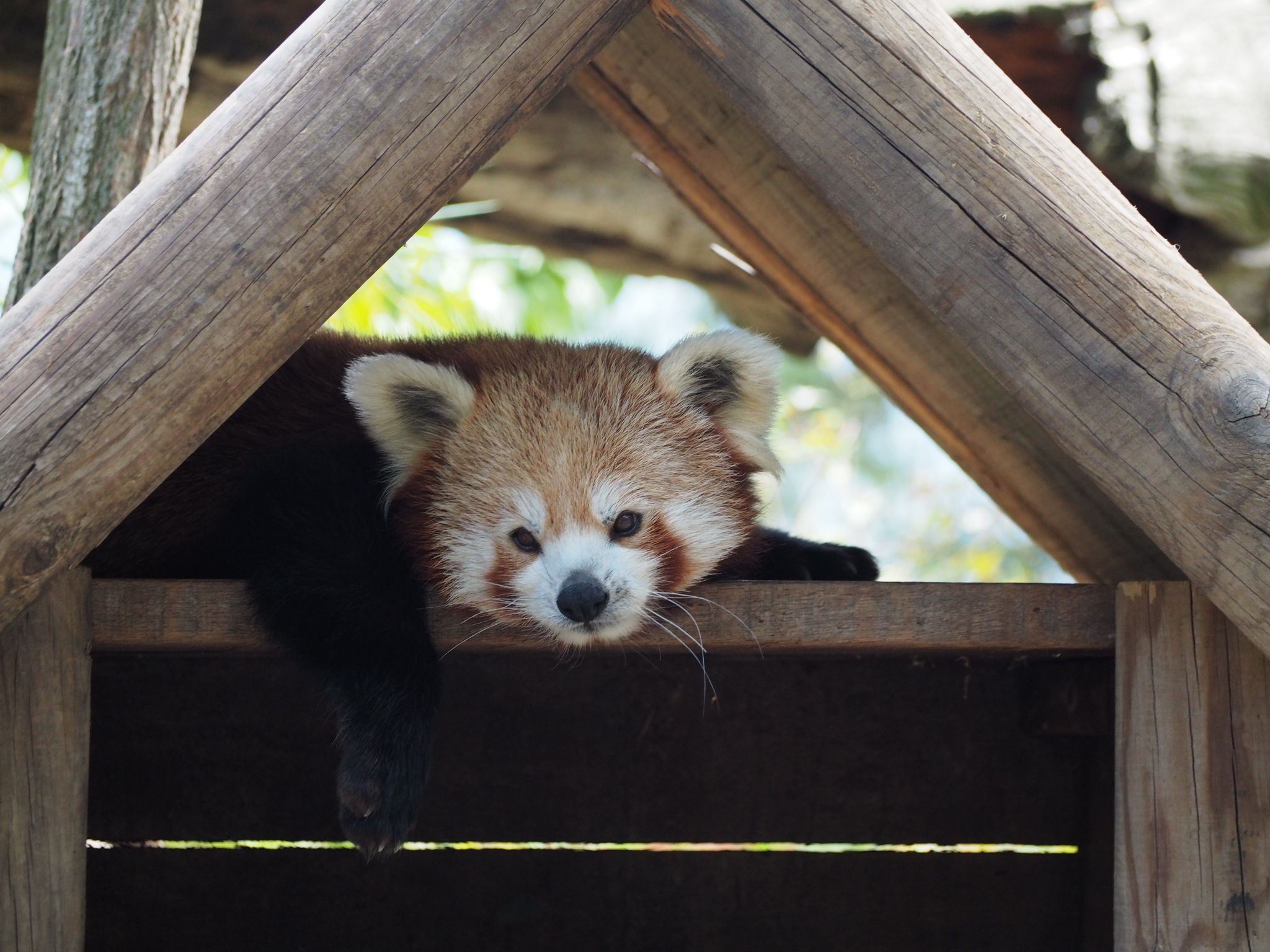 Photo n° 13 de l'avis de Carole. fait le 22/08/2022 à 21:38