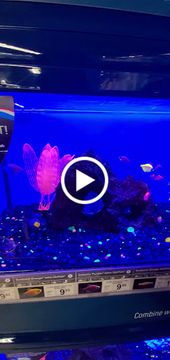 Pet Supply Store «Petco Animal Supplies», reviews and photos, 22 Peninsula Center, Rolling Hills Estates, CA 90274, USA