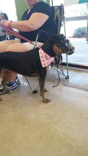 Pet Supply Store «Pet Supplies Plus», reviews and photos, 4250 N Alafaya Trail #240, Oviedo, FL 32765, USA