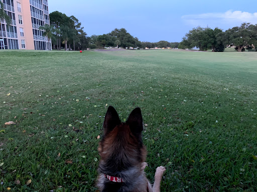 Golf Club «Pinebrook Ironwood Golf Course», reviews and photos, 4260 Ironwood Cir, Bradenton, FL 34209, USA