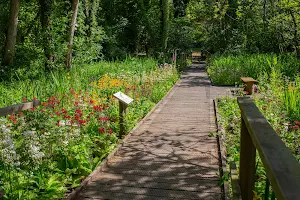 Fairhaven Woodland & Water Garden image