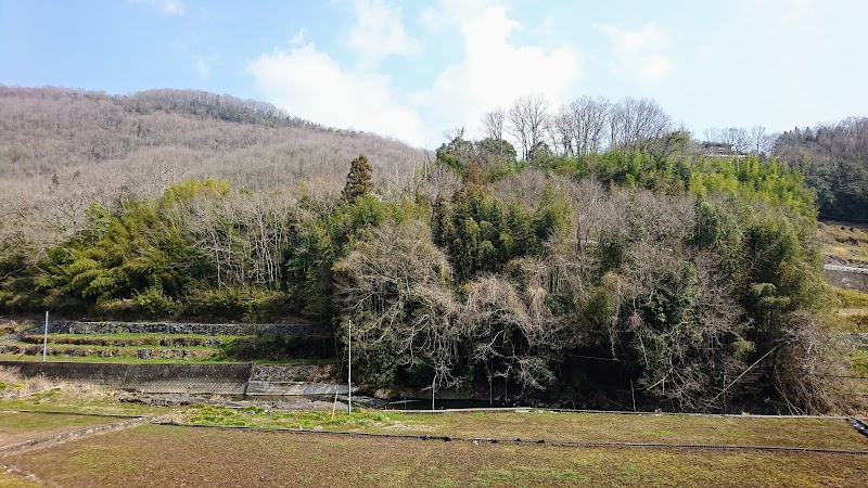 成羽の化石層