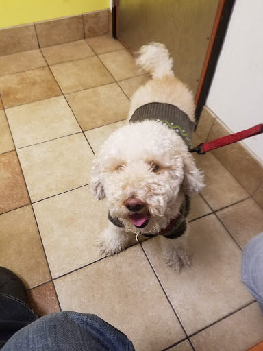 Pet Supply Store «PetSmart», reviews and photos, 2525 W Wheatland Rd, Dallas, TX 75237, USA