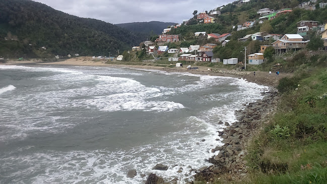 Opiniones de Playa Rio Sur ,Maicolpue en Osorno - Camping