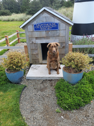 Golf Course «Peninsula Golf Course», reviews and photos, 9604 Pacific Ave, Long Beach, WA 98631, USA