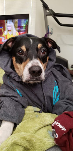 Winery «Walter Dacon Wines», reviews and photos, 50 SE Skookum Inlet Rd, Shelton, WA 98584, USA