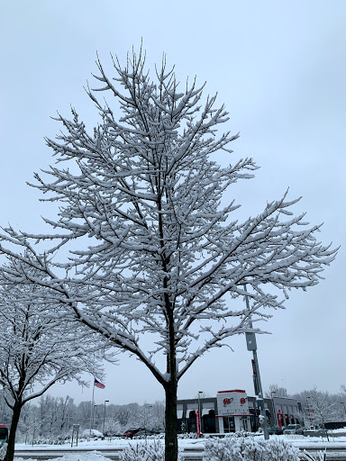 Auto Insurance Agency «AAA White Marsh Car Care Insurance Travel Center», reviews and photos