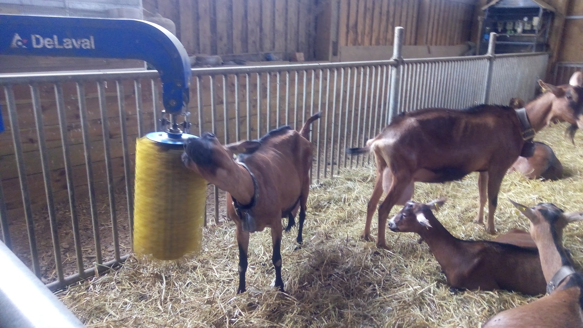 Photo n° 2 de l'avis de Frisher.y fait le 01/07/2018 à 12:25