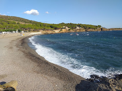 Photo de Platja del Port de la Vall - endroit populaire parmi les connaisseurs de la détente