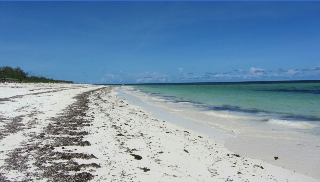 Foto di Watamu Bay con parzialmente pulito livello di pulizia